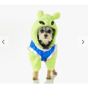 Pottery Barn Kids Neon Green and Blue Dog Hoodie